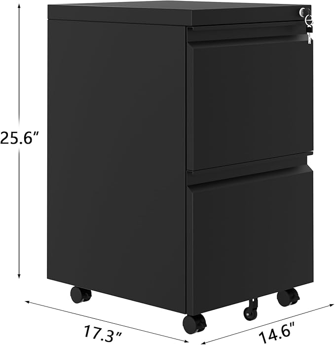 2 Drawer File Cabinet on Wheels with Lock, Under Desk Metal Filing Cabinet for Home Office, Rolling Storage Organizer for Letter/Legal/A4 Documents, Small Mobile Cabinet with Locking Casters, Black