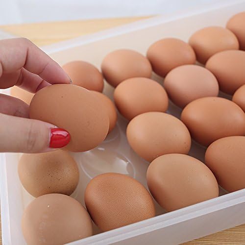 Egg Holder for Refrigerator, Deviled Egg Containers Large Plastic Egg Tray Carrier for Fridge Kitchen Egg Storage Compact Stackable Durable Clear with Lid Fits 48 Eggs 2 Pack