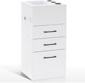BarberPub Salon Storage Cabinet Beauty Locker Hair Dryer Holder Stylist Spa Equipment with Drawer 2035 (White)