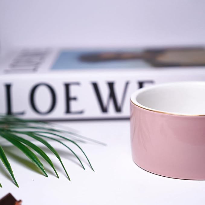 HANKOR Paper Clip Holder - Ceramic Paperclip Holders for Desk, Binder Paper Clip Dispenser Organizer (Pink)