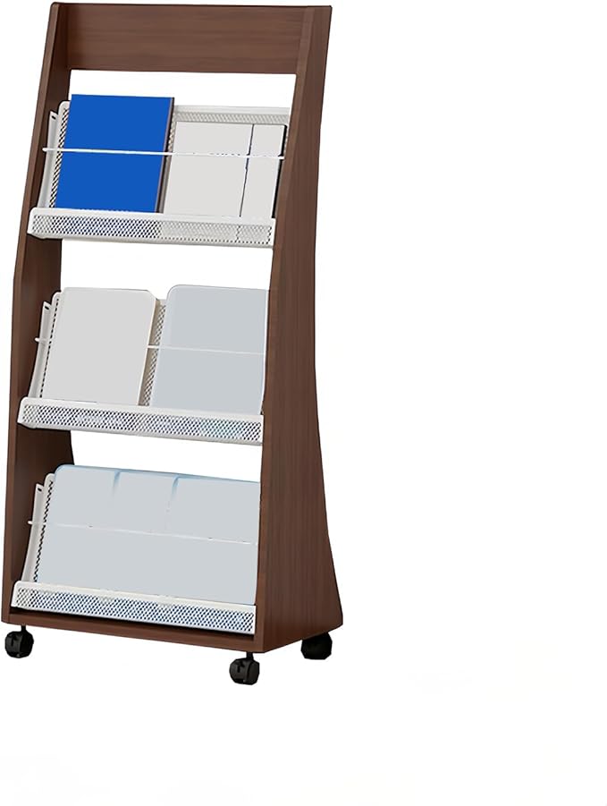 Brochure Display Rack,4 Layer Floor-Standing Magazine Rack,Literature Newspaper Catalog Display Holder With,Book Display Rack for Exhibitions, Shopping Malls, Hospitals, Offices,Family
