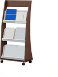 Brochure Display Rack,4 Layer Floor-Standing Magazine Rack,Literature Newspaper Catalog Display Holder With,Book Display Rack for Exhibitions, Shopping Malls, Hospitals, Offices,Family