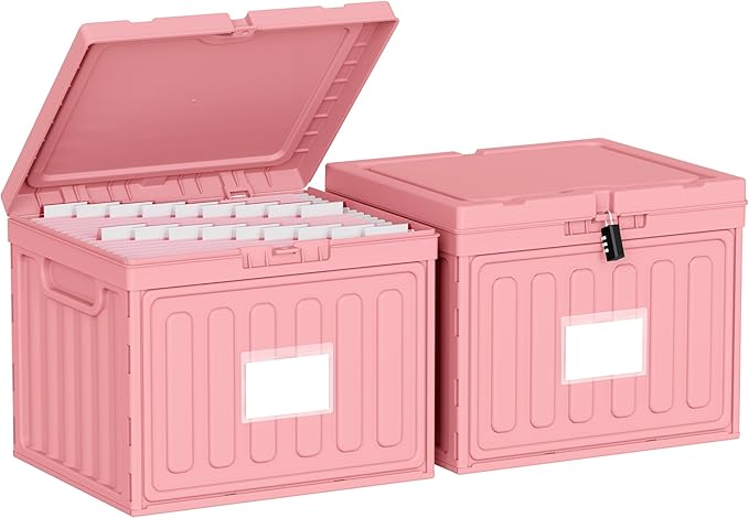 Oterri Plastic File Box with Lid for Letter Size File Folders, Hanging File Folder Box Collapsible File Organizer, File Cabinet Document Organization Home, Office (Pink, Large-2 Pack Without Folders)
