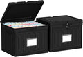 Oterri Plastic File Box with Lid for Letter Size File Folders, Hanging File Folder Box Collapsible File Organizer, File Cabinet Document Organization Home, Office (Black, Large-2 Pack Without Folders)