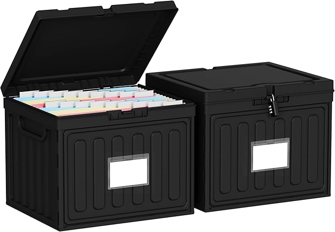 Oterri Plastic File Box with Lid for Letter Size File Folders, Hanging File Folder Box Collapsible File Organizer, File Cabinet Document Organization Home, Office (Black, Large-2 Pack Without Folders)