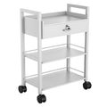 Paddie Salon Trolley Cart, Wooden Mobile Utility Cabinet Lab Cart with 1 Drawer 2 Trays, Rolling Storage Station Beauty Salon Rolling Trolley for Beauty Spa (White)
