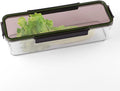 Celery Keeper for Refrigerator, Celery Storage Container with Lid, BPA-Free Long Plastic Fridge Storage Container for Fresh Celeries, Easy to Clean and Leak Proof, Food Storage Bins for Kitchen