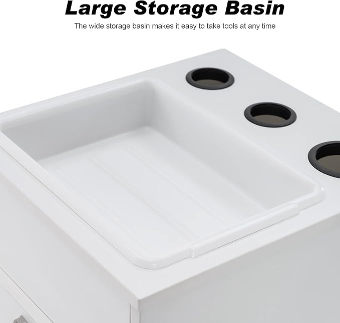 BarberPub Salon Storage Cabinet Beauty Locker Hair Dryer Holder Stylist Spa Equipment with Drawer 2035 (White)