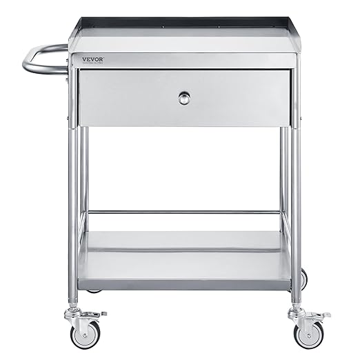 VEVOR Medical Cart, 2-Layer Stainless Steel Cart 220 lbs Weight Capacity, Lab Utility Cart with 360° Silent Wheels and a Drawer for Lab, Clinic, Kitchen, Salon
