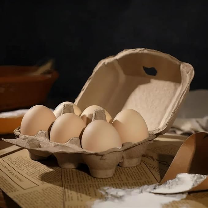 50 Pack Egg Cartons Cheap Bulk, Blank Natural Pulp Egg Carton 6 Count for Chicken Eggs, Reusable, Protects, Egg Storage Containers for Home Kitchen and Farmhouse (50 PCS 6 Count)