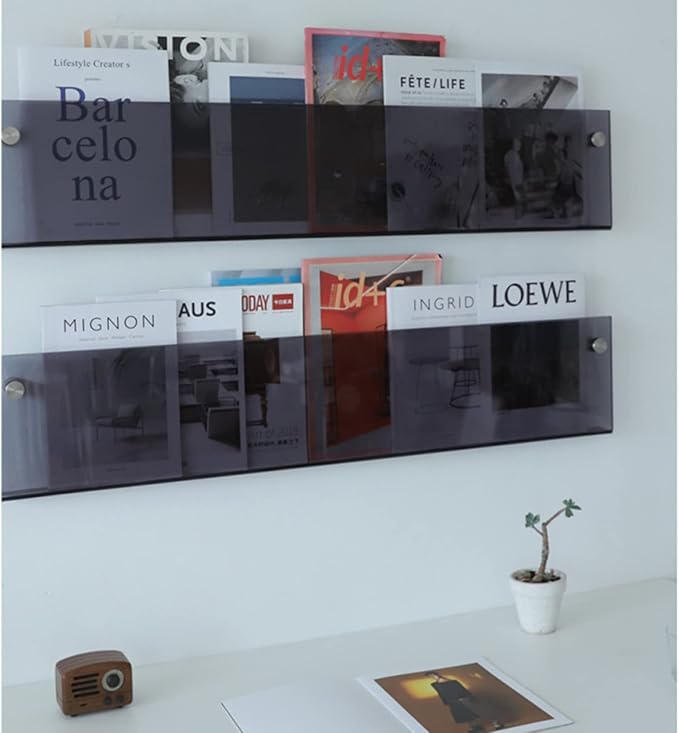 ROYALITA 2-Pack Acrylic Magazine Holder Brochure Holder, 24" Record Holder Magazine Rack, Fashion Hanging Bookshelf Literature Storage Rack for Waiting Room, Living Room, Office, Gray, 24 Inch