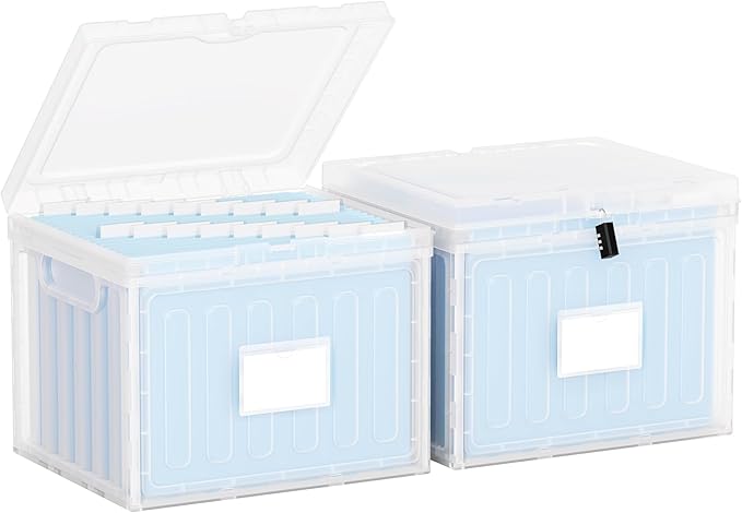 Oterri Plastic File Box with Lid for Letter Size File Folders, Hanging File Folder Box Collapsible File Organizer, File Cabinet Document Organization Home, Office (Clear, Large-2 Pack Without Folders)