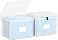 Oterri Plastic File Box with Lid for Letter Size File Folders, Hanging File Folder Box Collapsible File Organizer, File Cabinet Document Organization Home, Office (Clear, Large-2 Pack Without Folders)