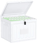 Oterri Plastic File Box with Lid for Letter Size File Folders, Hanging File Folder Box, File Organizer for File Cabinet, Home, Office,School(White, Large-1 Pack Without Folders)