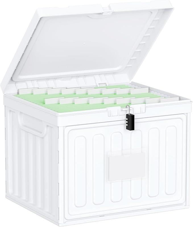 Oterri Plastic File Box with Lid for Letter Size File Folders, Hanging File Folder Box, File Organizer for File Cabinet, Home, Office,School(White, Large-1 Pack Without Folders)