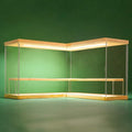 NONEMEY Clear Acrylic Display Case Stand with Wood Base 2/3/4/5/6 Tier Storage Box Showcase Dustproof Organizer Box for Collectibles (2Tier L Shape)
