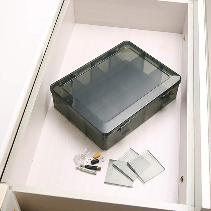 2 Pack Plastic Storage Organizer Box, Storage Container, Jewelry Organizer, Parts Storage Box with Dividers for Crafts, Beads, Buttons, Ornaments, Metal Parts, and More (12 Grids 2 Pack)