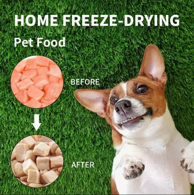 5 Sets Medium Freeze Dryer Tray Dividers Compatible with Harvest Right Trays, Freeze Dried Strawberrie Candy Fruit Dog Cat Treats Tray Dividers, Ideal Accessories for Freeze Dryer Owner