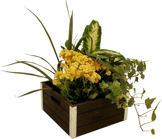 wald imports - Set of 3 Distressed Wooden Crates for Storage - Decorative Wooden Crate Set for Home Decoration & Display - Vintage Storage for Household Goods