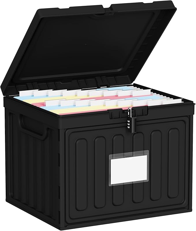 Oterri Plastic File Box with Lid for Letter Size File Folders, Hanging File Folder Box, File Organizer for File Cabinet, Home, Office,School(Black, Large1 Pack Without Folders)