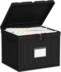 Oterri Plastic File Box with Lid for Letter Size File Folders, Hanging File Folder Box, File Organizer for File Cabinet, Home, Office,School(Black, Large1 Pack Without Folders)