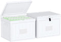 Oterri Plastic File Box with Lid for Letter Size File Folders, Hanging File Folder Box Collapsible File Organizer, File Cabinet Document Organization Home, Office (White, Large-2 Pack Without Folders)