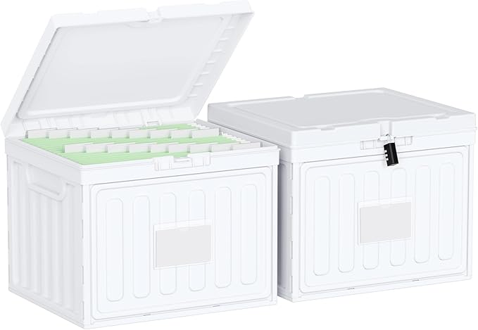 Oterri Plastic File Box with Lid for Letter Size File Folders, Hanging File Folder Box Collapsible File Organizer, File Cabinet Document Organization Home, Office (White, Large-2 Pack Without Folders)
