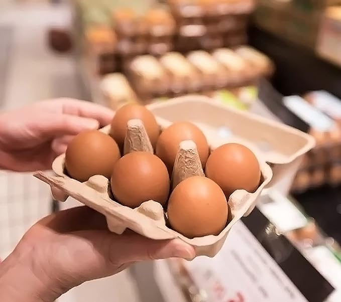 50 Pack Egg Cartons Cheap Bulk, Blank Natural Pulp Egg Carton 6 Count for Chicken Eggs, Reusable, Protects, Egg Storage Containers for Home Kitchen and Farmhouse (50 PCS 6 Count)