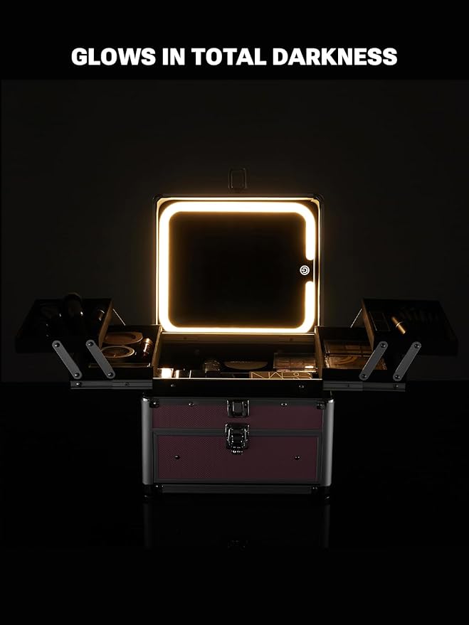 Qislee Makeup Box with Drawer and Four Trays, A Detachable Lighted Mirror, Waterproof Travel Train Case, Cosmetic Organizer and Makeup Suitcase with Magnetic LED Mirror(Bright White)