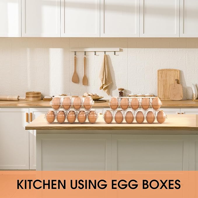 Egg Cartons Cheap Bulk, 60 Pack Egg Cartons Reusable 10 Count, Clear Plastic Wholesale Holder for Packaging, Chicken Container Holders for Family Farm Business Market Display Storage