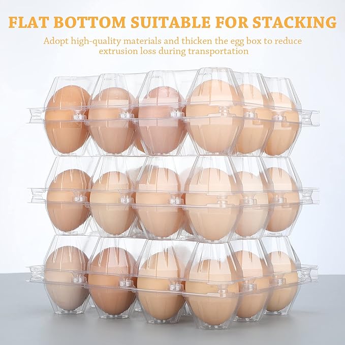 Tanlade 100 Pcs Plastic Egg Carton, 12 Grids Clear Chicken Egg Tray Disposable Plastic Holder Empty Container for Farm Refrigerator Fresh Storage(7.5 x 5.7 x 2.5 Inch)