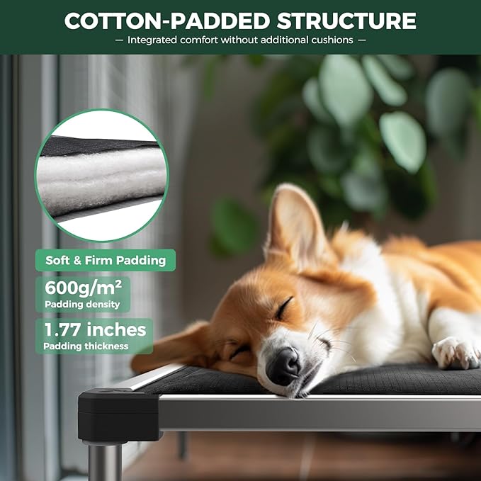FXW TitanNest Chew-Proof Elevated Dog Bed, Raised Cot for Indoor/Outdoor/Camping Use, Durable & Washable Padded Pet Bed with Exclusive Cover for Extra-Small Dogs, 29.0" L x 18.0" W x 4.5" H, Black