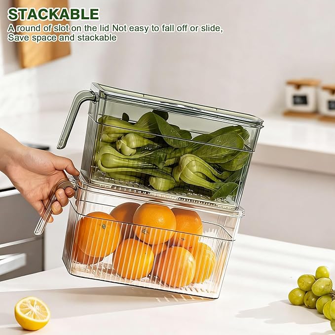 loobuu 2 Pack Stackable Food Storage Produce Saver Containers for Refrigerator, Berry Keeper Boxes for Fridge with Removable Drain Tray Keep Fresh for Vegetables/Fruit (Clear&Green)