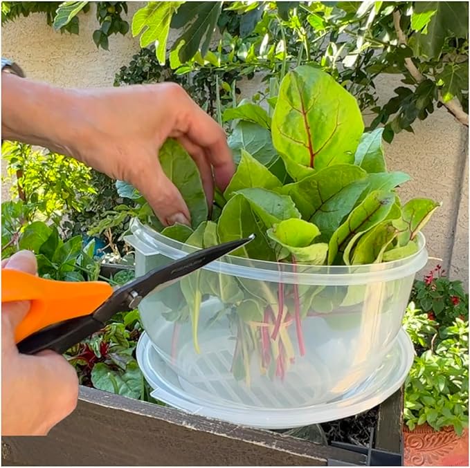 Trenton Gifts Lettuce And Vegatable Storage Keeper | 7" X 8"