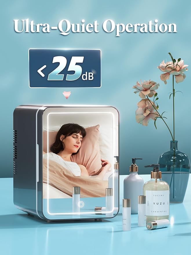 BOGDA Mini Skincare Fridge (4 Liter/6 Can) with Dimmable LED Light Mirror, Cooler and Warmer for Refrigerating Make Up, Skin Care and Food, Portable Mini Fridge for Bedroom, Office and Car, Grey