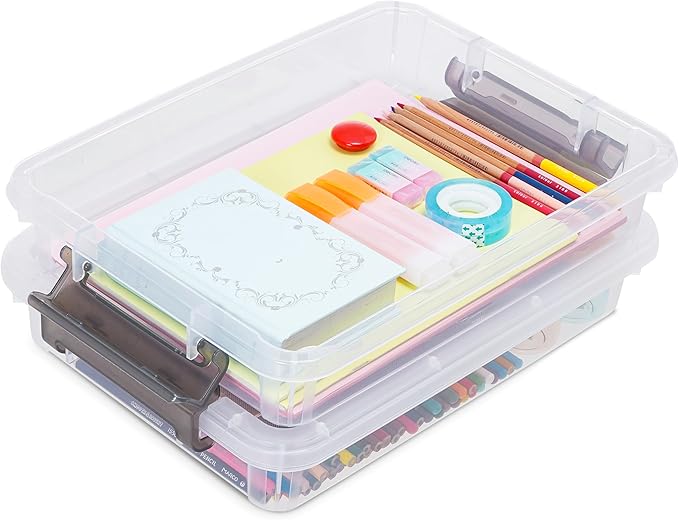 ITYLIFE CITYLIFE 2 PCS Plastic Storage Bins with Removable Tray Portable Craft Storage Box with Snap Clip Stackable Plastic Compartment Organizer Box for Jewelry, Widgets, Bead Organizer, Art Supply