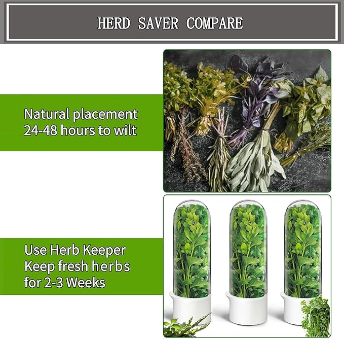 Herb Saver for Refrigerator, Cilantro Container for Fridge, Fresh Herbs Lettuce Keeper for Refrigerator Parsley Mint Leaves Fresh Herb Keeper, Refrigerato Storage for Fresh for 2-3 Weeks