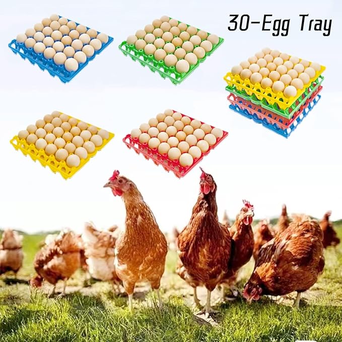 4-Pack Plastic Egg Tray Egg Crates, 30-Egg Flats, Stackable, Durable, Reusable, Green