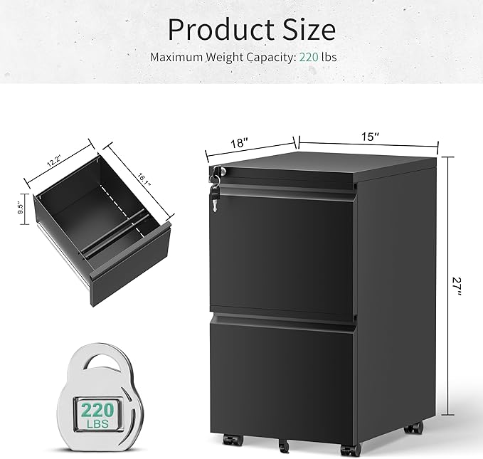 Bonusall 2 Drawer File Cabinet, Metal Rolling File Cabinets with Lock, Filing Cabinets for Home Office Fit A4/Letter/Legal, Easy Assembled, Black