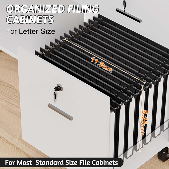 Plastic Hanging File Folders Letter Size,12 Pack Reinforced 1" Expanding Heavy Duty Hanging Organizer Files,Black Hang Folders with Tabs,Durable Filing Cabinet Folders for Office School Home