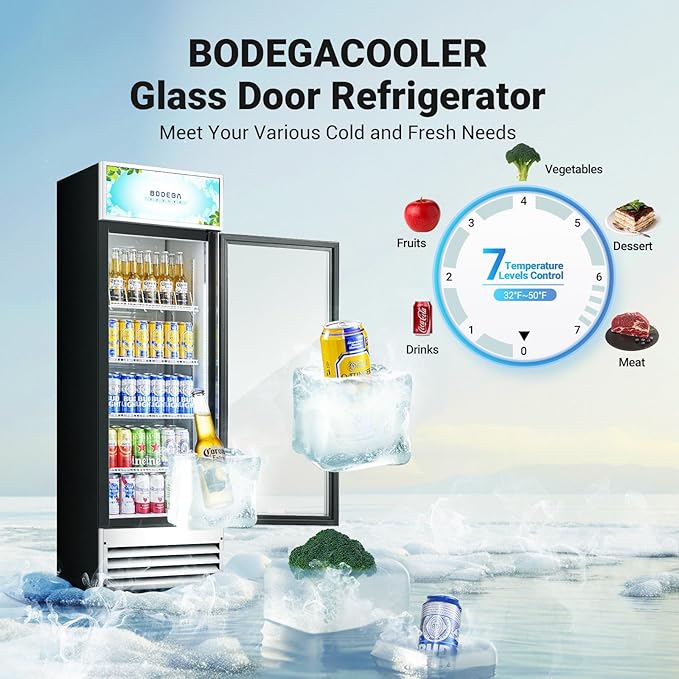 BODEGACOOLER Commercial Merchandiser Refrigerator, 9 Cu.Ft Glass Door Beverage Refrigerator, Upright Beverage Display Cooler with Soft LED Light, Adjustable Shelves, 4 Strong Castors(Stainless Steel)
