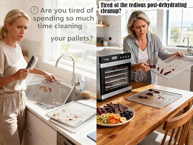 Mesh Silicone Dehydrator Sheets, 11x11 in 10 Pcs/Sets for Food Dehydrator & Freeze Dryer (11x11 INCH Mesh Silicone Dehtdrator Sheet)