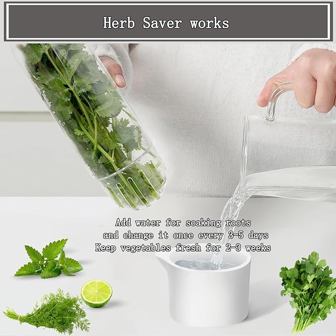 Herb Saver, Herb Keeper for Refrigerator, Cilantro Container for Fridge, Fresh Herbs Lettuce Vegetable Preservation Bottle Keeper Parsley Mint Refrigerator Storage for Fresh for 2-3 Weeks