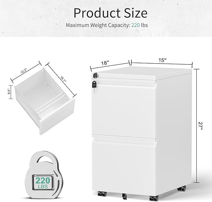 Bonusall 2 Drawer File Cabinet, Metal Rolling File Cabinet with Lock, Filing Cabinets for Home Office Fit A4/Letter/Legal, Easy Assembled, White