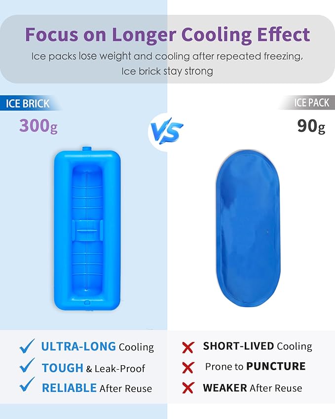 Insulin Vial Cooler Travel Case TSA Approved 300g Reusable Ice Brick Insulin Pen Case Holds 2 Pens and 2 Vials Long Lasting Medicine Cooler for Travel Camping and Outdoor Activities (Purple)