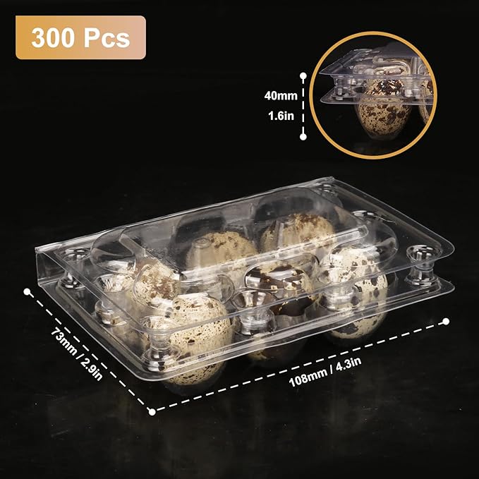 300 Pack Quail Egg Cartons, Clear Plastic Quail Egg Trays, Holds up to 6 Quail Eggs Securely - Your Ultimate Small Eggs Carton Holders for Bulk Storage and Display