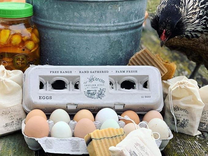 Egg Cartons- Adorable Printed Design for Farm Fresh Eggs, Recycled Paper Cardboard, Sturdy & Reusable, Holds up to XL Chicken Eggs (Blank Stamping, 90)