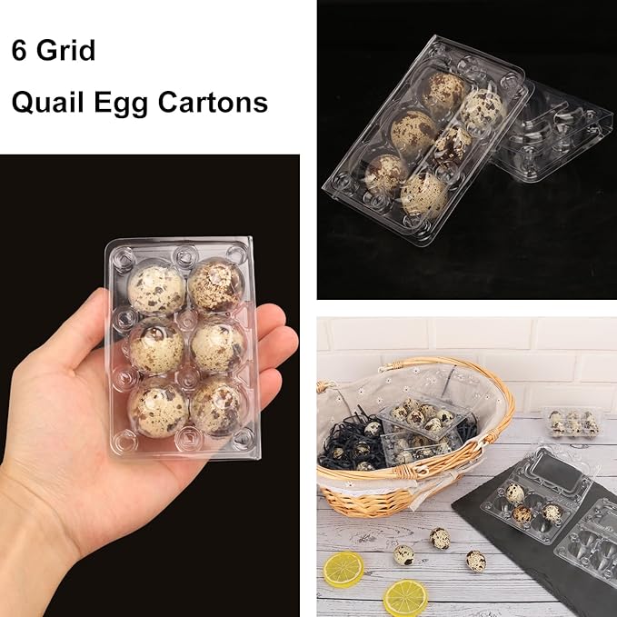 300 Pack Quail Egg Cartons, Clear Plastic Quail Egg Trays, Holds up to 6 Quail Eggs Securely - Your Ultimate Small Eggs Carton Holders for Bulk Storage and Display