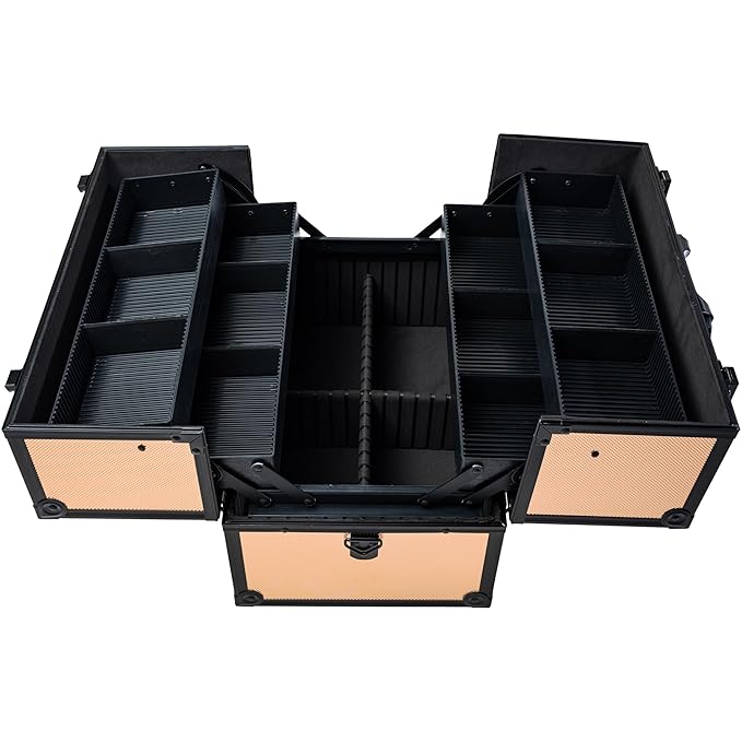 SHANY Essential Pro Makeup Train Case Cosmetic Box Portable Makeup Case Cosmetics Beauty Organizer Jewelry storage with Locks, Multi Compartments Makeup Box and Shoulder Strap - Black Rose