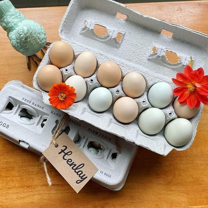 250 Egg Cartons- Bulk Value Bundle- Adorable Printed Design for Farm Fresh Eggs, Recycled Paper Cardboard, Sturdy & Reusable, Holds up to XL Chicken Eggs